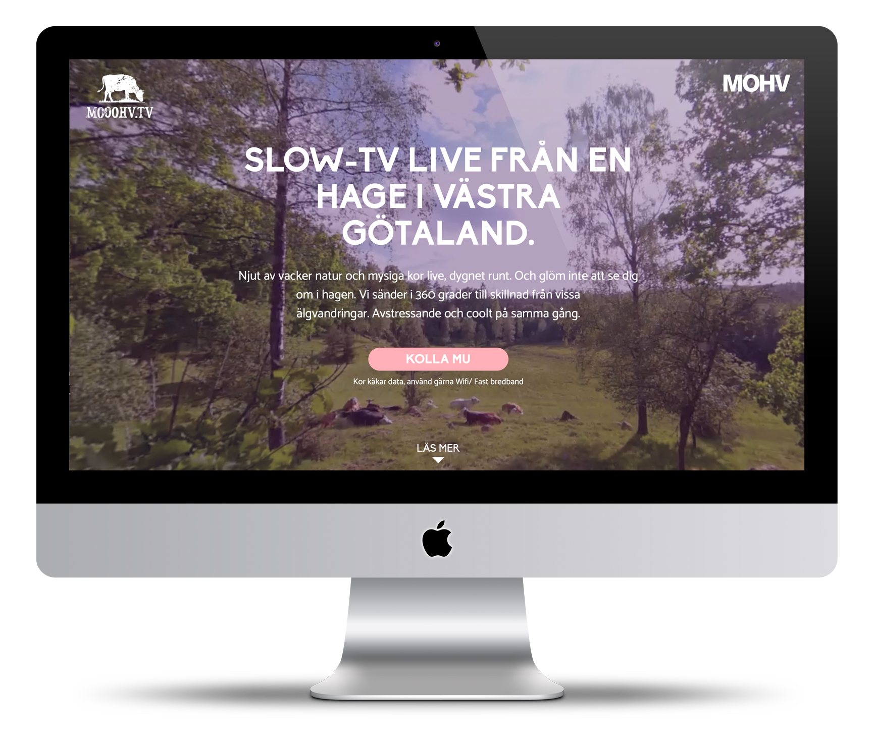 Mooohv tv - MOHV Labs